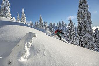 Patagonia ski jacket (turning in powder)